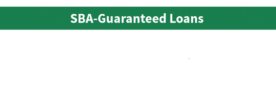 SBA-Guaranteed Loans. Lending Partner - Loan - Small Business