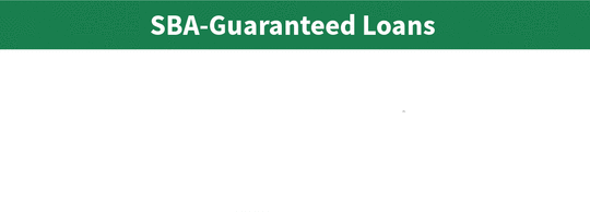 SBA-Guaranteed Loans. Lending Partner - Loan - Small Business
