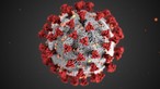 COVID-19, coronavirus, CDC