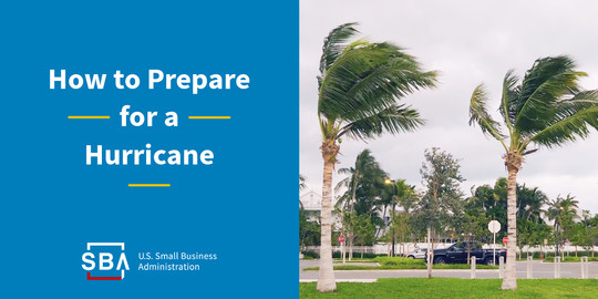There’s an Image of palm trees blowing in the wind and a street. There’s text that reads, how to prepare for a hurricane.