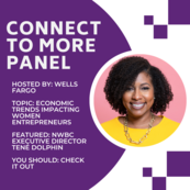 Wells Fargo Connect To More Panel