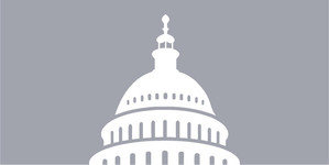 Capitol Icon - Gray
