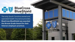 BCBS Graphic Thumbnail