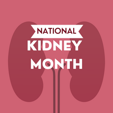 kidney photo