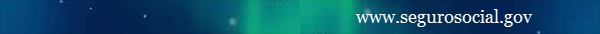 segurosocial.gov