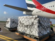 Two large pallets holding boxes of vaccine doses sit on the tarmac next to the tail of a jet airplane. 