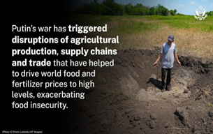 Russia Food Security Graphic on disruptions of agricultural production, supply chains and trade