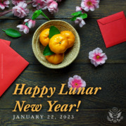 A table is decorated for Lunar New Year with pink flowers, a bowl of oranges, and red envelopes.