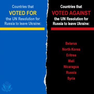 An animated graphic showing the outcome of the UN vote.