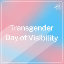 A graphic with blue and pink colors in the background, and the words "Transgender Day of Visibility". 