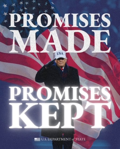 President Trump, wearing an overcoat and a USA baseball cap, salutes in front of an American flag.