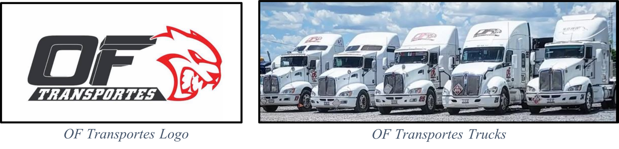 null OF Transportes