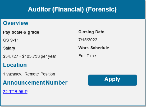 Auditor Financial Forensic