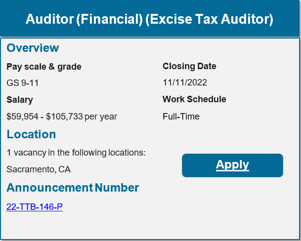 auditor financial 110422