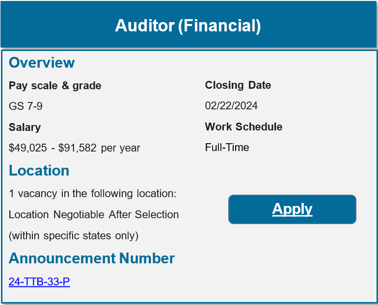 Auditor Financial