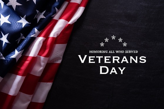 Closings for veterans day in new york