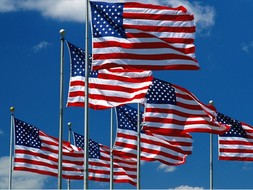 american flags 