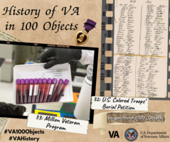 graphic of history of va in 100 objects