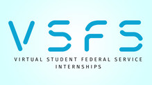 virtual student federal service internship
