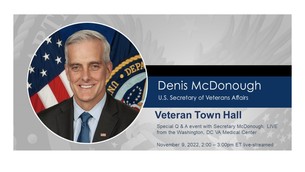 va secretary denis mcdonough