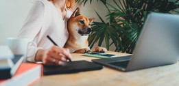 woman working from home with dog on her lap