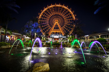 ferris wheel and fountain lit up at night