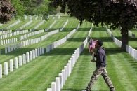 man placing flags in cemetery