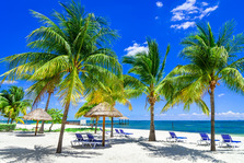 ocean beach front and beach umbrellas in Mexico