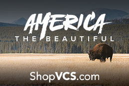 Buffalo grazing in a field. America the beautiful ShopVCS deals celebrating National Parks Week.