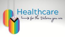 Health care for the veteran you are. Dog tags with rainbow theme.