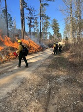 Veterans conducting a prescribed burn.