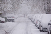 Parked cars along a road covered in snow.