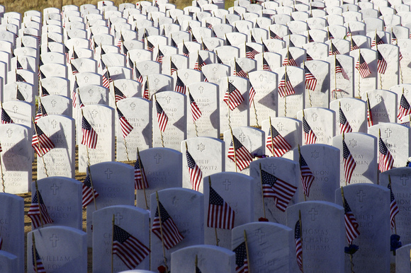 Bakersfield National Cemetery