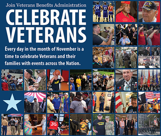 Veterans Month Poster