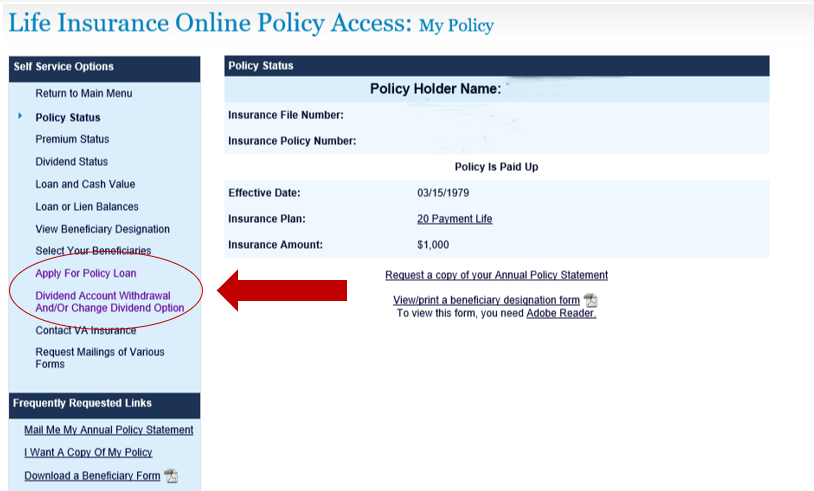 Online Policy Access