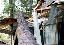 A fallen tree lands on a house during a hurricane