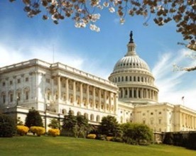 Capitol Spring Landscape