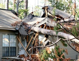 A tree blown over to hit a house during hurricane