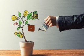 Plant being watered with a watering can; only the arm of the person is visible