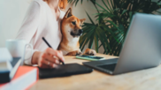 woman sitting at computer with dog