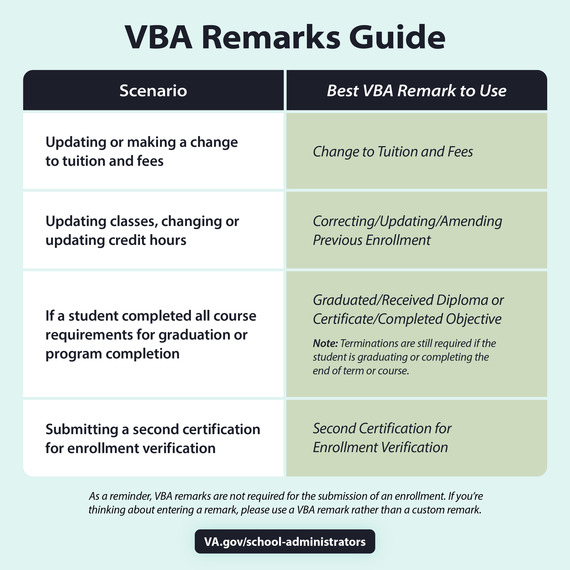 VBA Remarks Guide