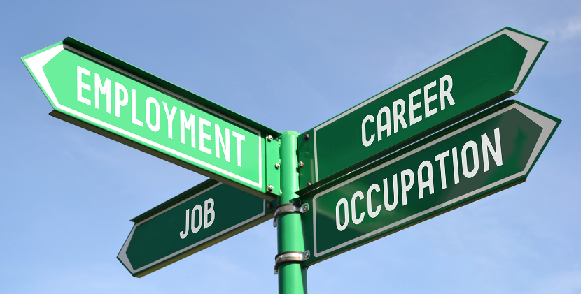 Employment and Career Development