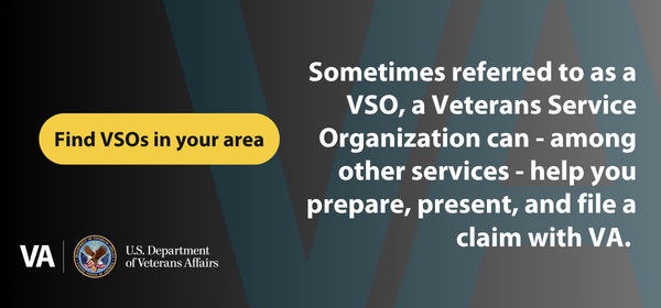 VSOs