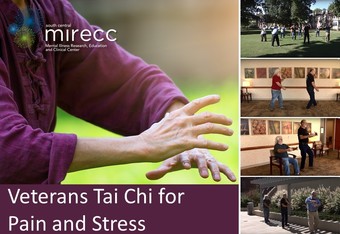 Veterans Tai Chi for Pain and Stress banner image