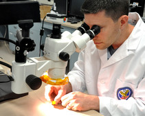 Dr. Potkay using a microscope to view a small item