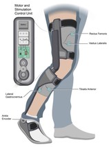 Artist drawing of the neuromuscular gait assist device