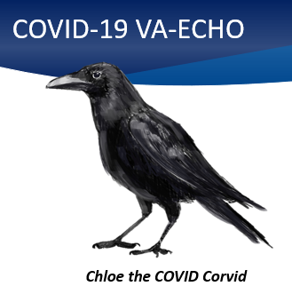 COVID-19 ECHO Chloe the COVID Corvid