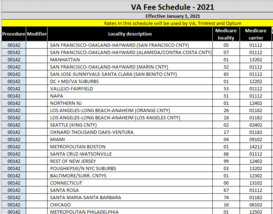 Excel Spreadsheet of VA Fee Schedule first few rows and columns