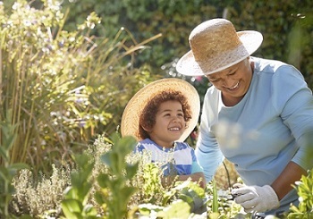 An older woman and her grandchild gardening among tall grass