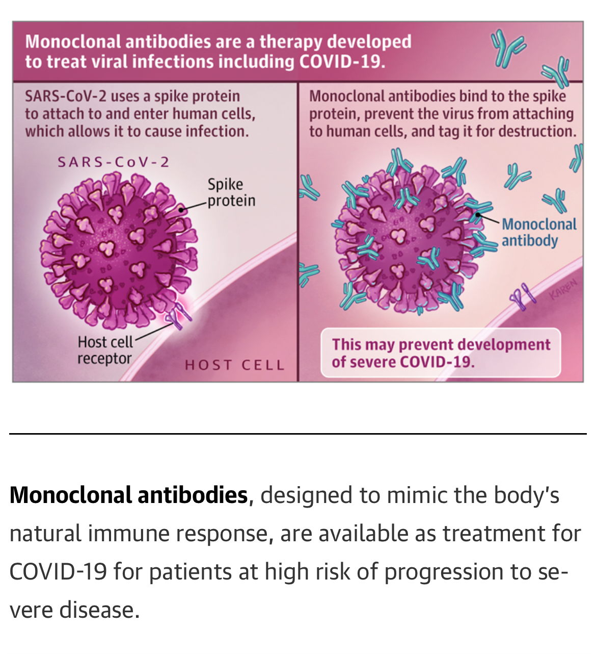 Monoclonal Antibodies are a therapy developed to treat viral infections, including COVID-19.